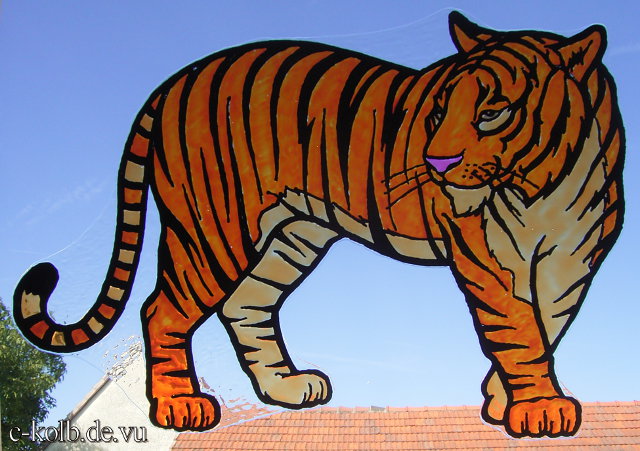 Window-Color Tiger